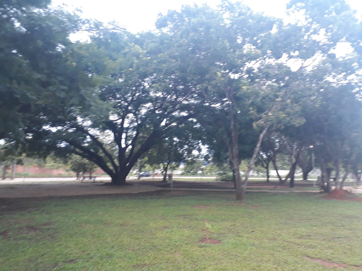 AgnolF's tweet photo. Bom Dia com a contemplação do Dia. https://t.co/DkMWlUmxI5