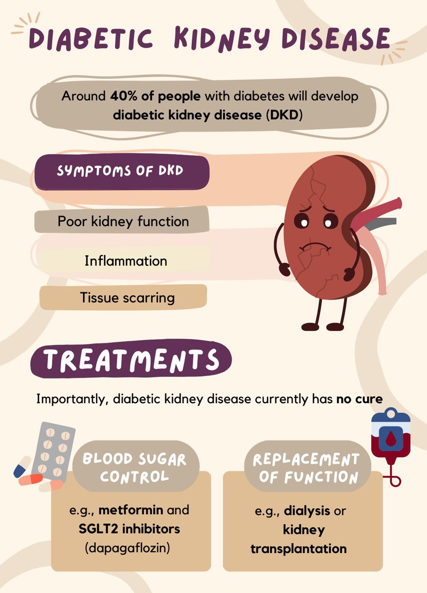 Diabetic Kidney Disease is a major problem for people with diabetes. It’s important we understand what drives kidney disease, so we develop therapeutic targets to stop progression and improve mortality and quality of life in patients. #worldkidneyday #kidneyresearch #cardiorenal