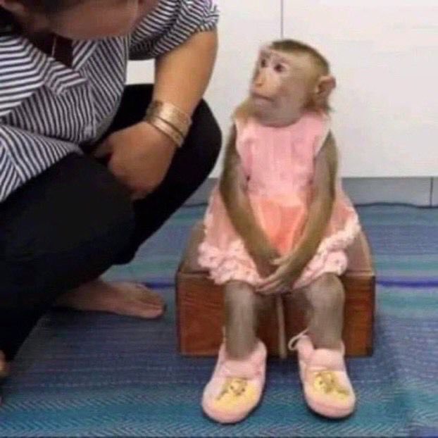 Só queria dormir um soninho agora kkkk os olhos doem e msm assim n?o consigo... Ainda mais prq passei