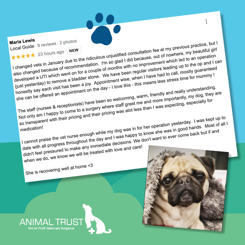 Animal Trust Vets tweet media