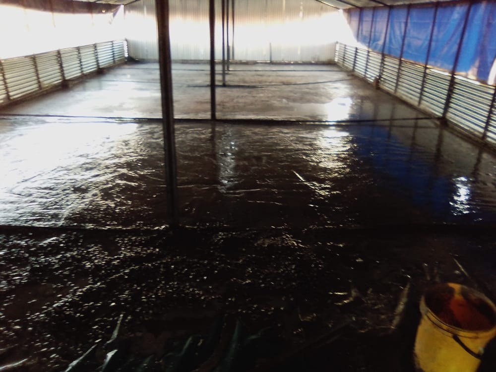 Tsogang3's tweet photo. This is how I manged to cast the surface bed in the one chicken house of 8 x 20 meters. I was buying 10 cements at a time 😂 now I'm half way done with the second slab with the same approach. See? I'm not in a hurry, three more months I should be done 🤣 https://t.co/wCIZgXWkg8