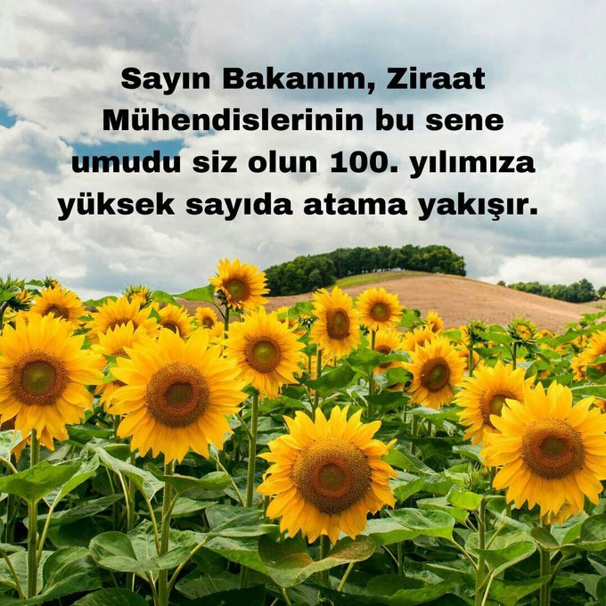 Başarı
Emek 
Sabır
Mücadele...
Biz, bize düşeni fazlasıyla yaptık.
<a href="/kilicdarogluk/">Kemal Kılıçdaroğlu</a>
 <a href="/meral_aksener/">Meral Akşener</a>
 <a href="/VahitKirisci/">Prof.Dr.Vahit Kirişci</a>
 <a href="/NumanKurtulmus/">Numan Kurtulmuş</a>
 <a href="/fuatoktay/">Fuat Oktay</a>
 <a href="/ademdinc_/">Adem Dinç</a>
 <a href="/RTErdogan/">Recep Tayyip Erdoğan</a>
  <a href="/hasandogan/">Hasan Doğan</a>
#SabirTastiZiraate15Bin