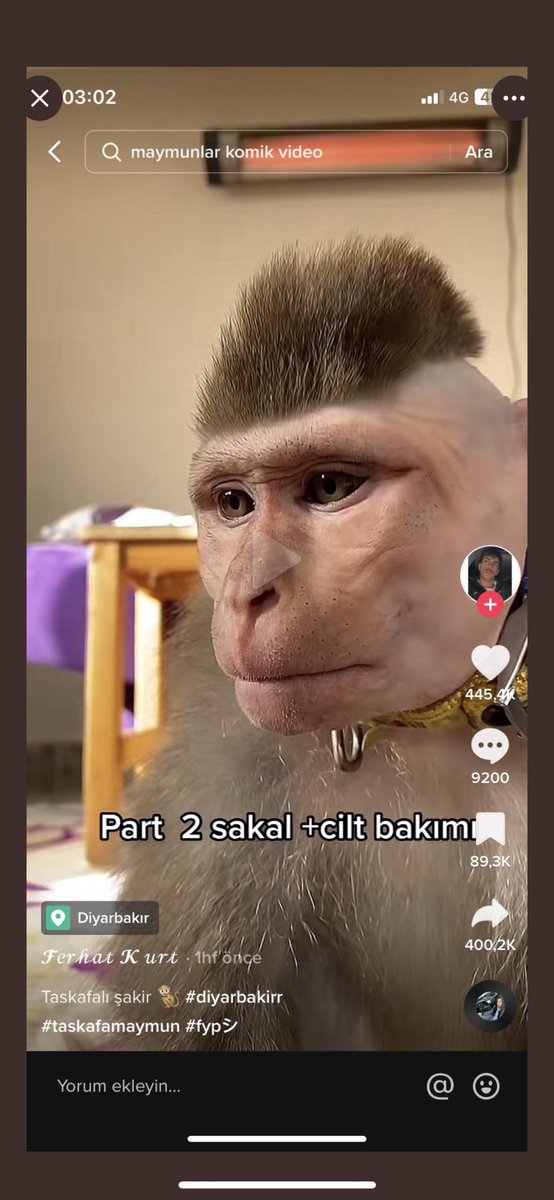 Eziyet gören bu maymun’un derhal bu vicdansızların elinden alınması gerek. Tiktok kullanıcı isimlerini sürekli değiştiriyorlarmış. <a href="/TCTarim/">T.C. Tarım ve Orman Bakanlığı</a> <a href="/tarimveormanbak/">Tarım ve Orman Bakanlığı Destek Hesabı</a> <a href="/Haydi_Ahbap/">Haydi Ahbap</a> @haydipolisi