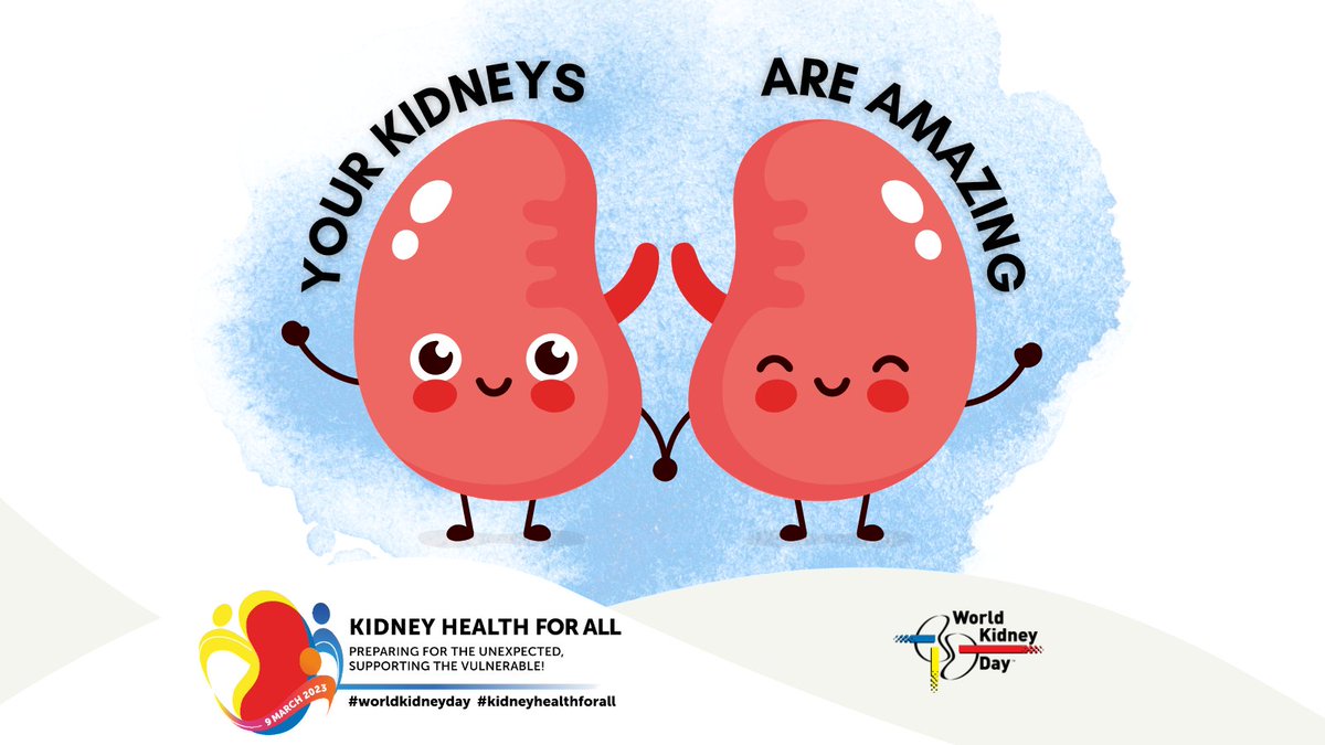 Kidneys are amazing organs that work hard for you! Their main job is to remove toxins and excess water from your blood, but they also help control your blood pressure, produce red blood cells and keep your bones healthy. #WorldKidneyDay #KidneyHealthForAll worldkidneyday.org/facts/your-kid…