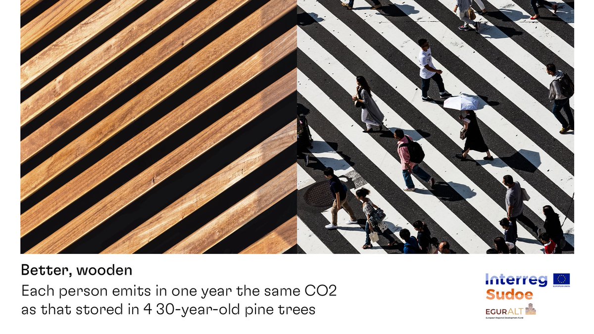 eguralt's tweet photo. In Spain, and according to data from 2021, each person emitted the same CO2 during the whole year that 4 30 year old Radiata Pines are able to store. 
#Wood #Sustainability #Construction #BuildingWithWood

https://t.co/EJ2jTbDymt https://t.co/2pXeRjvybB