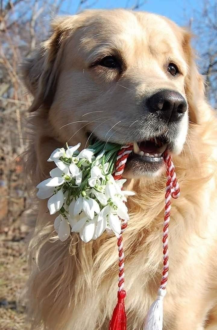 R. G. M1 🪷🌸🪷🌸🪷 (@rociogarciam1) on Twitter photo 