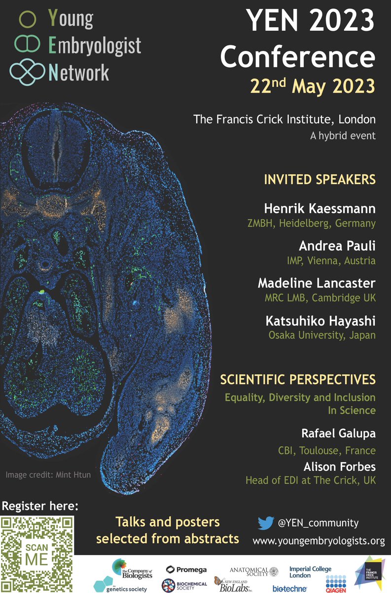 Remember registration is open for #YEN2023 📢 youngembryologists.org/yen-2023/ We have an excellent line-up of speakers and attendance is free! Submit your abstract for a short talk or poster presentation ✍️ #DevBio #StemCells