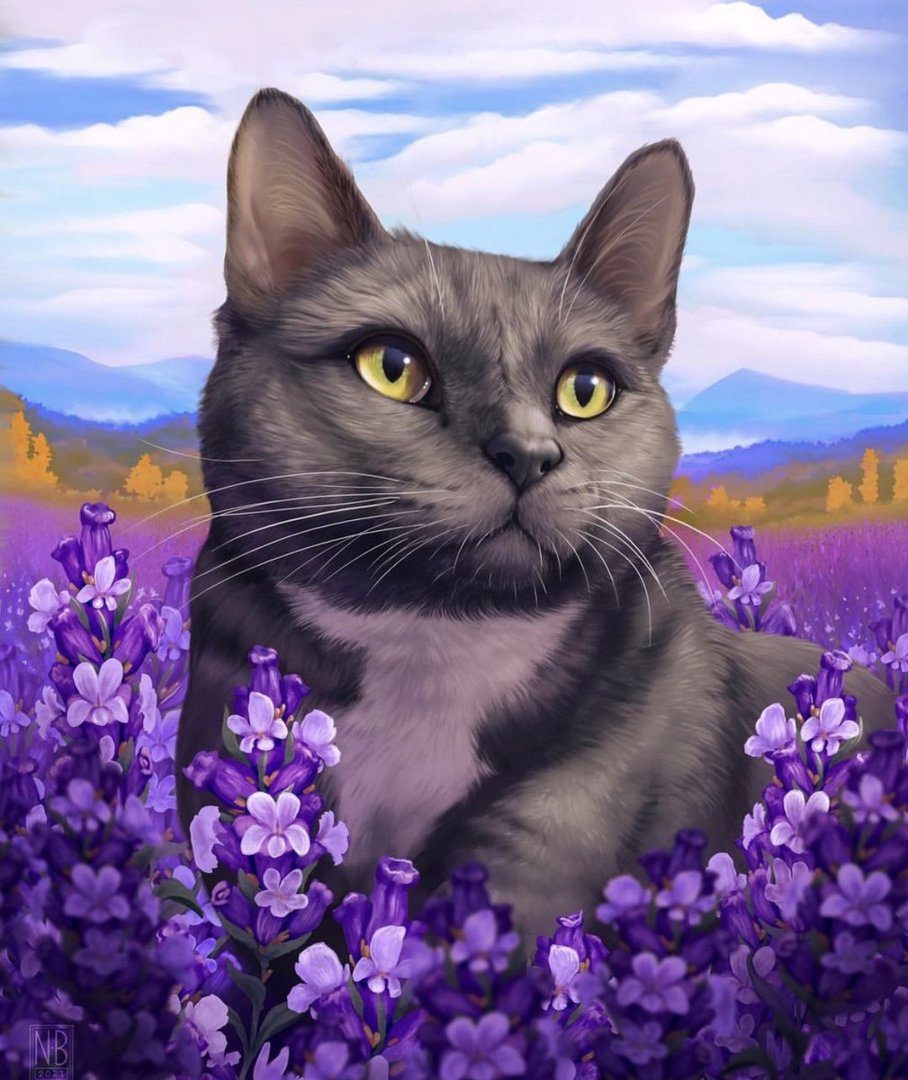 OpenAlison's tweet image. Promotion Time cat portrait ❤️
Retweet
Link your YT/Twitch
Help each other
#RazerStreamer
#smallstreamer
#SmallStreamersConnect
#SupportSmallStreams
#SupportSmallStreamers
#twitchStreamers
@BlazedRts
@sme_rt
@smallerstreams
@TwitchDev
@PromoteAMGamers