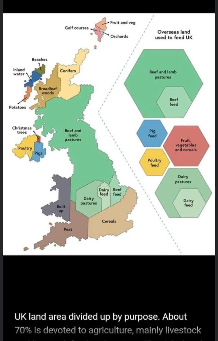 Burgee2's tweet image. Wow!
We have as much land area in golf courses as we do in fruit &amp;amp; vegetables.
Very dependant on overseas grown food, hope there’s not a war or a pandemic to disrupt supply!

We could change this with the right political and market support.