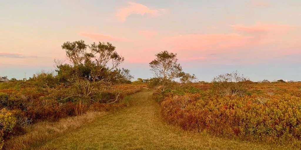 Looking for a way to enjoy nature this weekend? Join the Linda Loring Nature Foundation on Sunday, March 12, at 110 Eel Point Road for another of their refreshing walks. Sign up today!
nantucketfootprints.net/2023/03/07/gui…

#EveryChoiceMakesAnImpact #nantucket