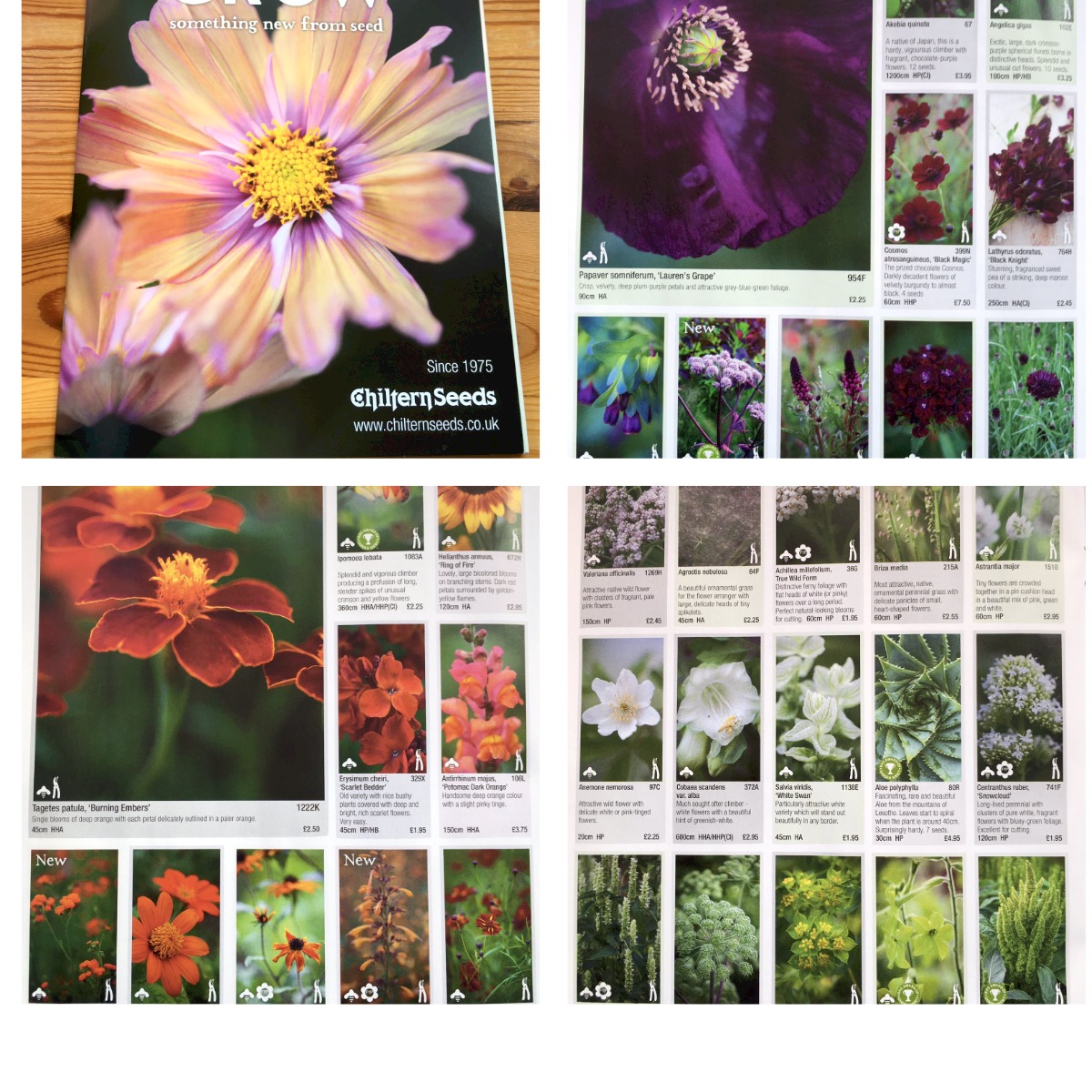 Chiltern Seeds (ChilternSeeds) / Twitter