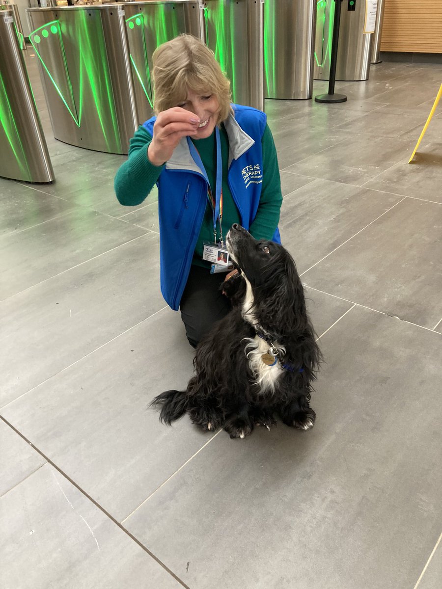 It’s #UniMentalHealthDay today. Darcy the therapy dog is on the City South campus today until 1pm. Come along and say hello.