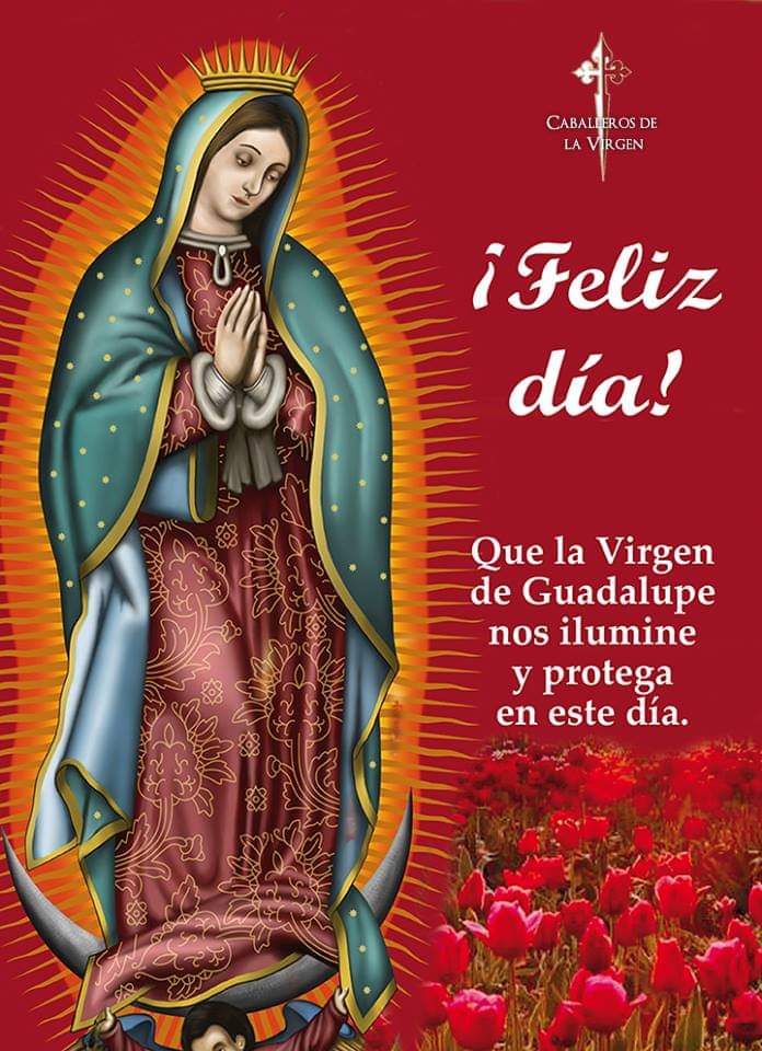 RuizHurtadoRE's tweet image. Buenos Días!!

En tí #Confíamos virgen sagrada Maria!!
Ruega por nosotros!!