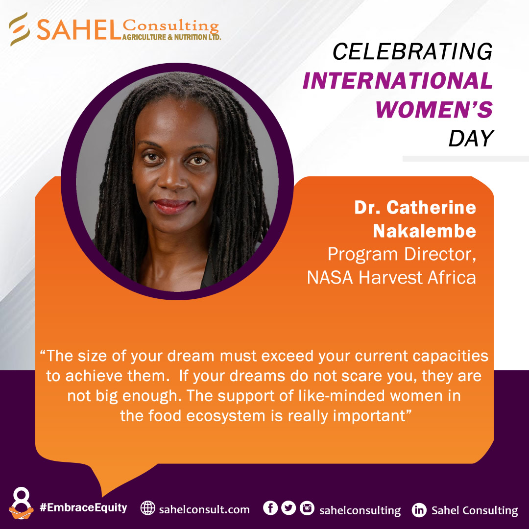 sahelconsulting's tweet photo. #ThrowbackThursday 

Thank you, @CLNakalembe for sharing valuable insights at the IWD/LAFF launch.
------
To watch the webinar click on the link here: https://t.co/tDxdO322uN

@ndidiNwuneli  @NASAHarvest 
#IWD2023 #embraceequity #event #network #leaders #change #africa #food https://t.co/TOguvI3dIs