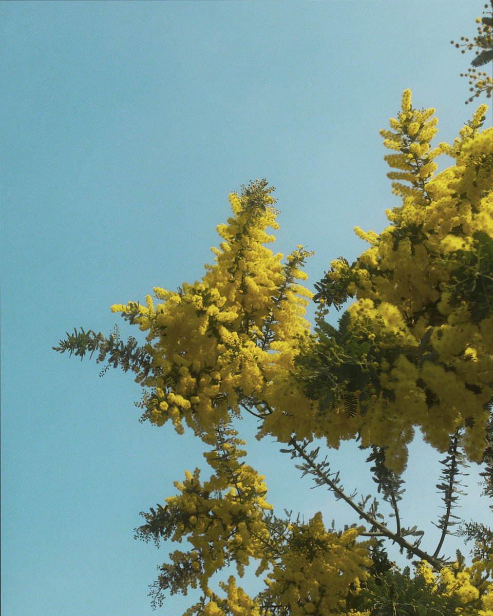 0_____jp's tweet photo. spring is coming https://t.co/W3nr6VtUmp