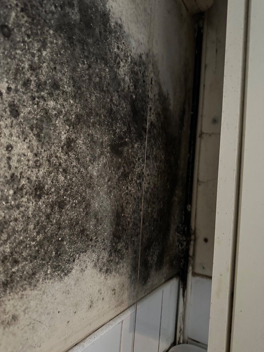 Juliette Mottram (@juliettemottra2) on Twitter photo More pictures from the kitchen from hell! <a href="/michaelgove/">Michael Gove</a> <a href="/GeoffRawBHCC/">Geoff Raw</a> <a href="/BrightonHoveCC/">Brighton & Hove City Council</a> @luhc <a href="/Independent/">The Independent</a> #mouldkills More pictures from the kitchen from hell! <a href="/michaelgove/">Michael Gove</a> <a href="/GeoffRawBHCC/">Geoff Raw</a> <a href="/BrightonHoveCC/">Brighton & Hove City Council</a> @luhc <a href="/Independent/">The Independent</a> #mouldkills