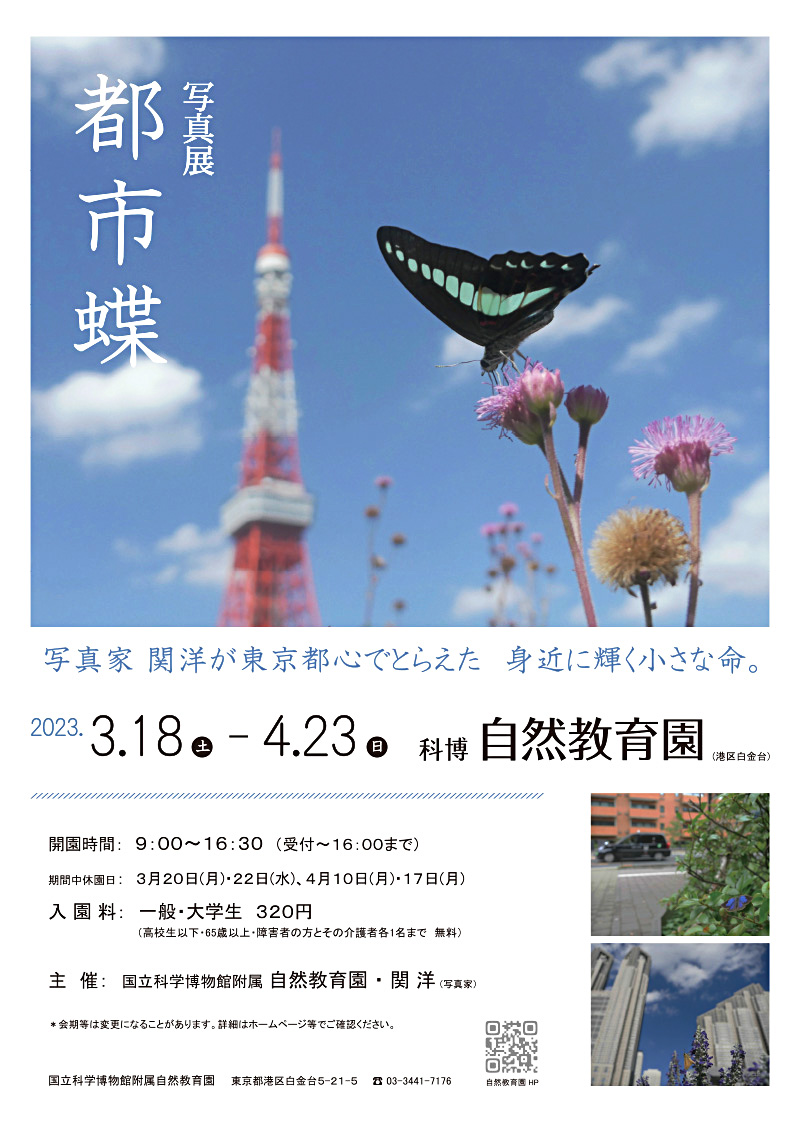 yjsendagi's tweet photo. おすすめです。 https://t.co/eNTN9YZKhk