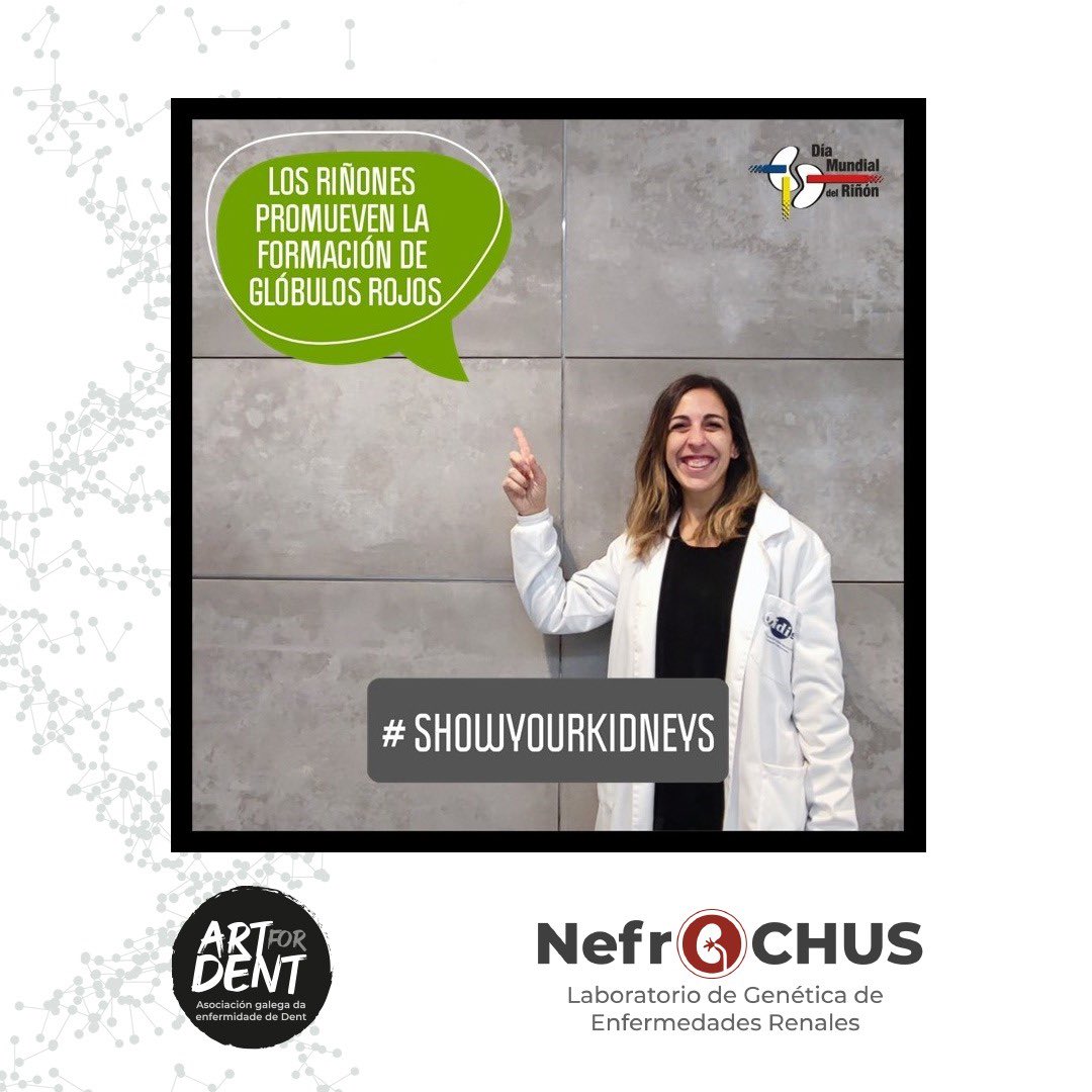 ArtforDent's tweet photo. Día Mundial del Riñón 💪🔬
GRACIAS @NefroChus por vuestra labor, por vuestro trabajo y por invertir esfuerzos en la investigación renal y en la #enfermedaddedent
@FEGEREC
@idis_research
#showyourkidneys #investigacion #investigaron #kydney #nefrochus #WorldKidneyDay2023 https://t.co/PzRKdFbwDT
