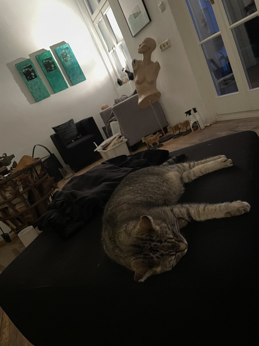 Ihr Lieben vom #twitterrudel , ich freu mich so, dass ihr m. Nachfolgerin so lieb willkommen heißt. Sie ist jetzt 2. Tag da und man merkt, dass sie ein Ömchen ist. Sie schläft viel, erzählt auch viel - aber offenbar kennt sie ihren Namen nicht. Bedienerin sucht nun einen neuen.