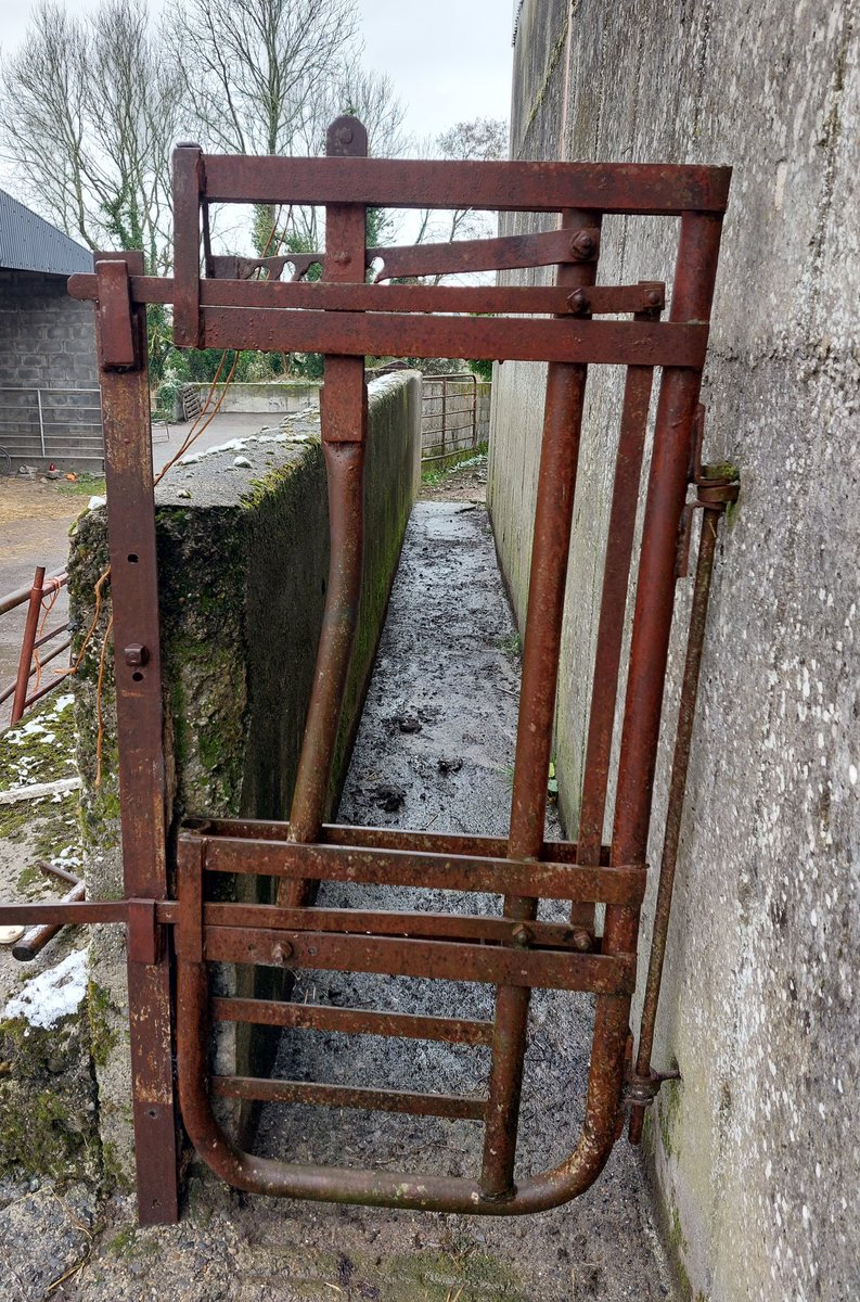 StCanicesCU's tweet photo. Wondering if you can afford to upgrade the handling facilities? Can you afford not to? Talk to your nearest @CultivateCU about funding your purchase! Show us your old school cattle crushes and the bells and whistles mod cons you've invested in to make life easier! https://t.co/06aeJnnFR2