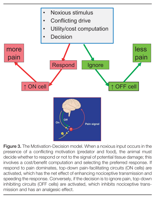 How expectations influence pain

👇👇👇

pubmed.ncbi.nlm.nih.gov/30113941/