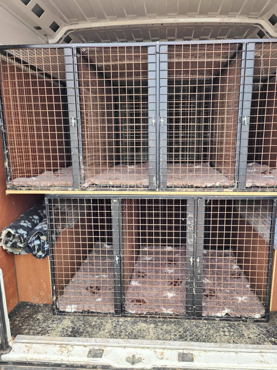 Levers Racing on Twitter "Greyhound transport is a major part of