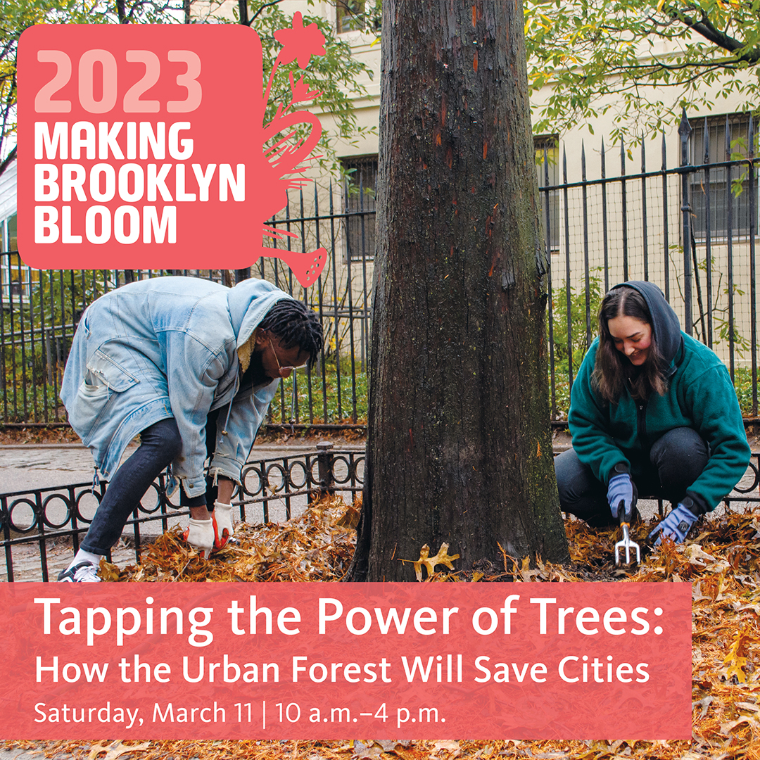 Trees New York tweet media