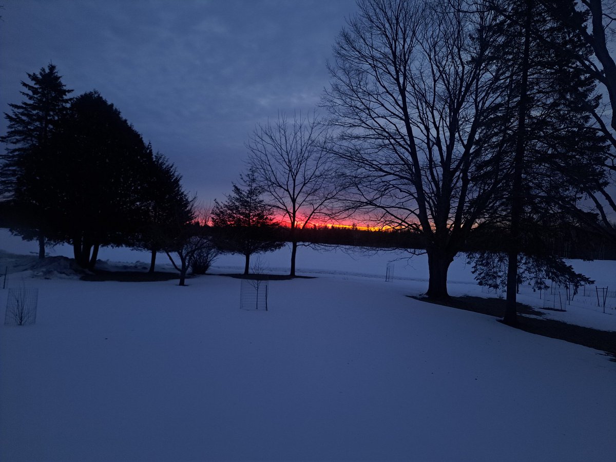 yooperforestry's tweet image. Good morning from the @MSUAgBio forestry center in the UP. Spring is syrup season and the #spartan300 is tapped! The #spartan3000 tapping starts today.