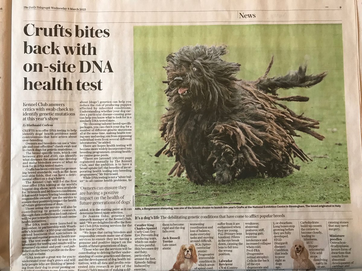 Crufts has introduced breed-specific on-site DNA health tests for dogs… 🐶🐕🐩 #Crufts #dogs #animals #sociallicence