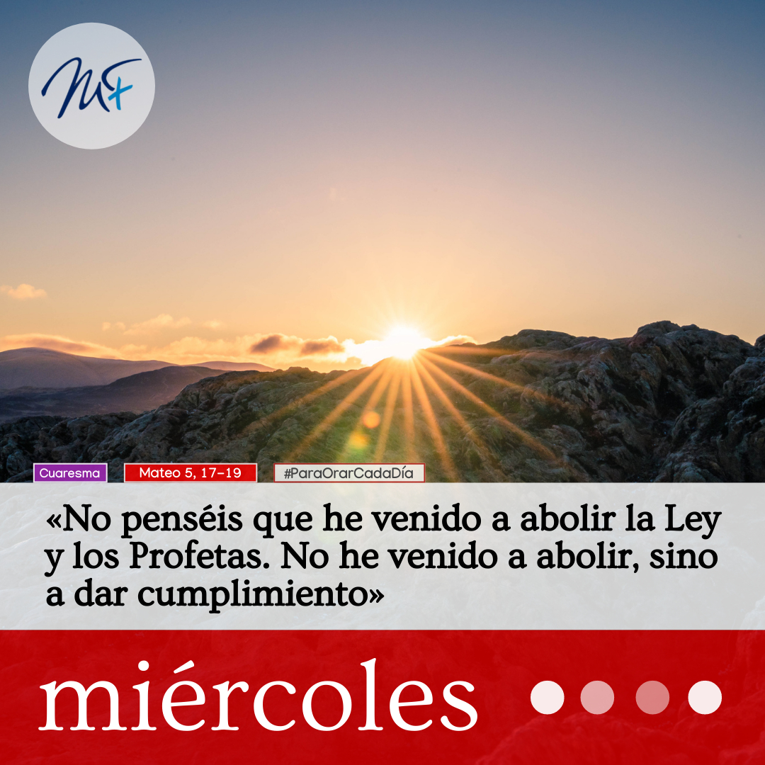 mondonedoferrol's tweet image. 🙏🏽📖 La plenitud de todo mandamiento es el amor. Sin él, los preceptos pueden convertirse en barreras e incluso en armas que ponen en peligro la vida de las personas y de la comunidad

#Evangelio #FelizMiércoles #SantaMadrona

🟥 mondonedoferrol.org/para-orar-cada…