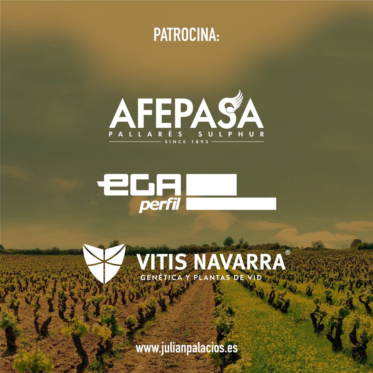 Julián Palacios - Viticultura Viva tweet media