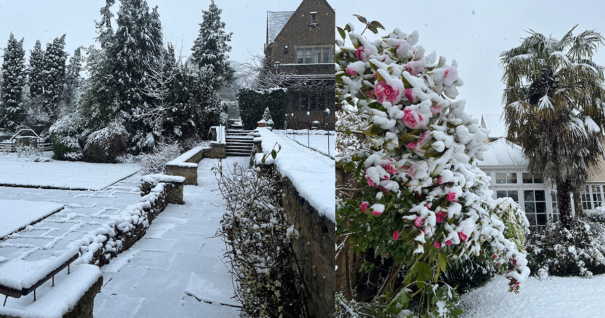 MalloryCourt's tweet image. It looks like a perfect winter postcard! 😍

A real-life winter wonderland! If you're coming to visit, we can guarantee you a warm welcome (and roaring fire!) ❄

📸🙏 - Mandy Matharu 

#winter #snowinmarch