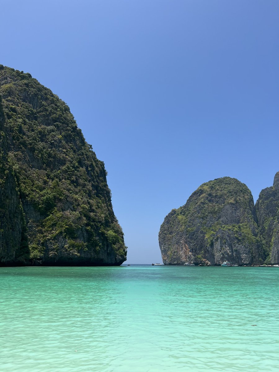 Alanna Deakin tweet media