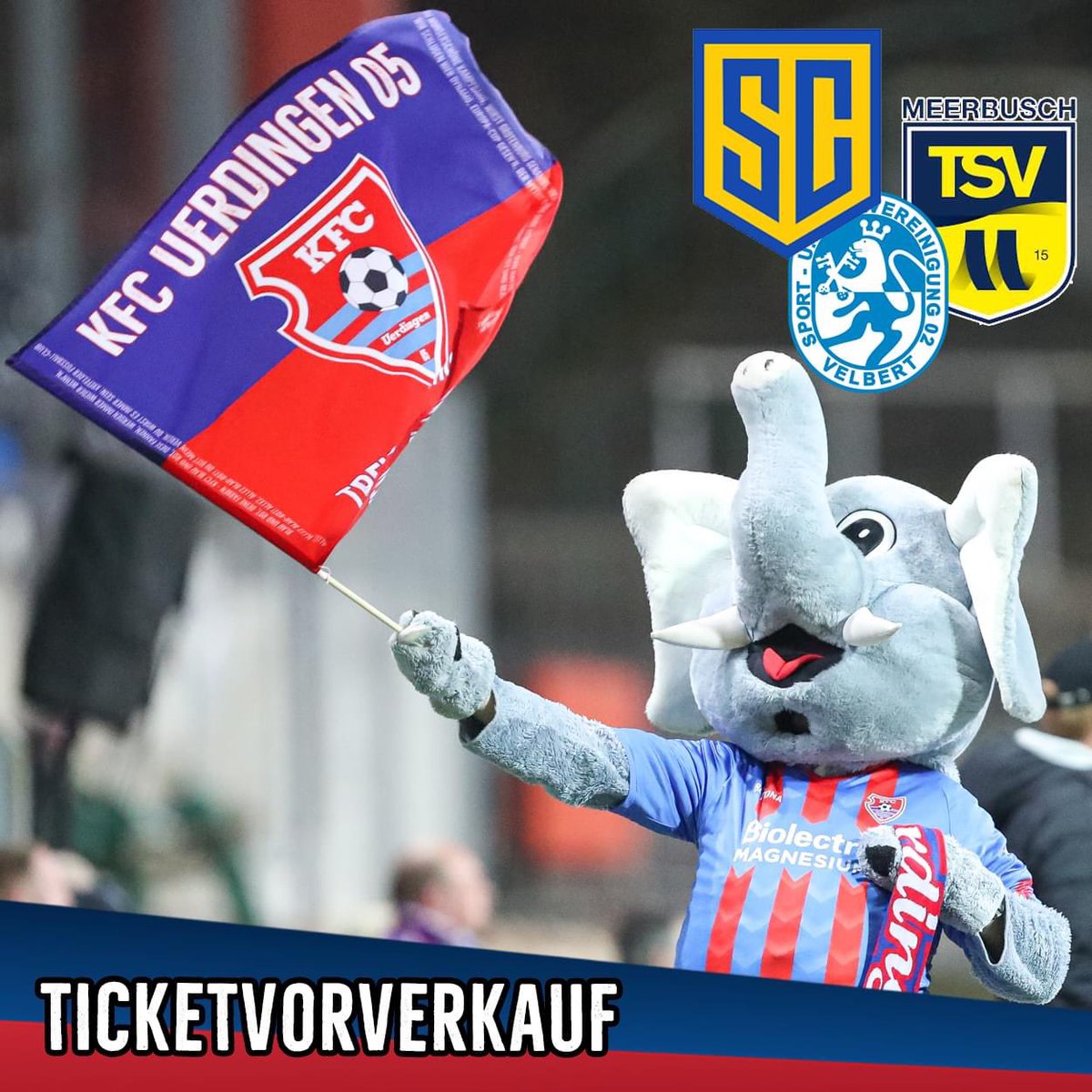 Wer gegen den #SCStTönis einen Platz mit Sitzschale haben möchte, sollte sich beeilen! Es sind nur noch wenige #Tickets in Block L und N erhältlich.

Neuer #Termin beim #CronenbergerSC ist Mi., 29.3., 20 Uhr im Stadion am Zoo. 

Mehr unter kfc-uerdingen.de/2023/03/ticket…

#krefeld