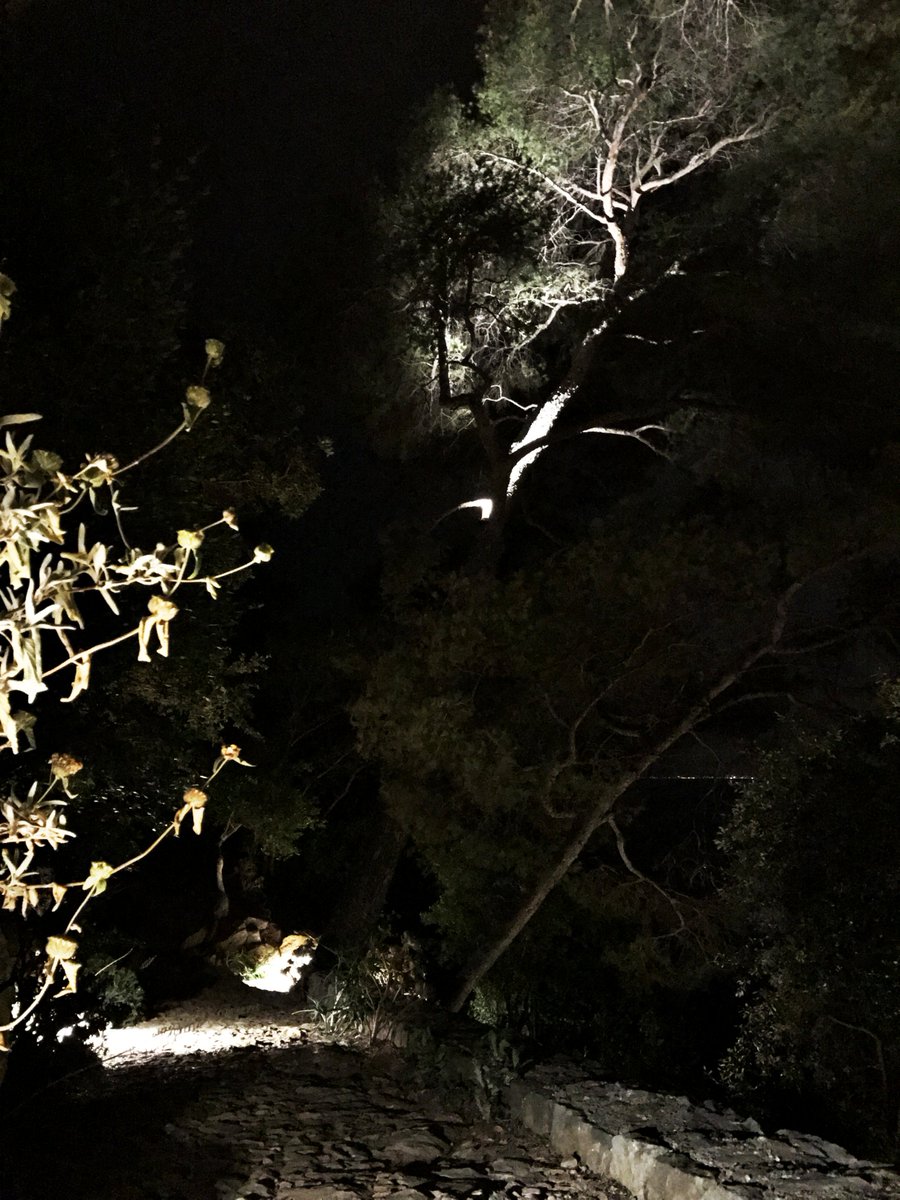 Eclairage extérieur
#domolighting #eclairageexterieur #outdoorlighting #lumiere #eclairage #lighting #treeLighting