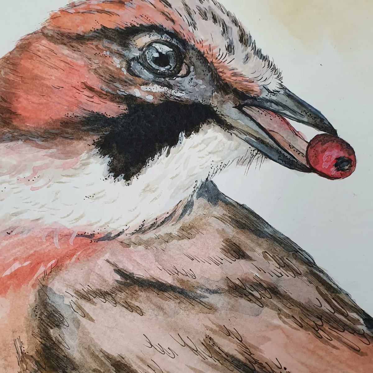 geeadriaansz's tweet photo. De gaai ❤️ Aquarelverf, penselen en papier zijn van het merk Van Gogh. Van de vele veren die ik heb, is een kleine gaaienveer wel 1 van de mooiste, gevonden door mijn 5 jarige dochter 🪶 deze staat ingelijst 😊
@vogelnieuws @Natuurmonument #natuurkunstenares #studiogee #aquarel https://t.co/QEzcRei0Fa