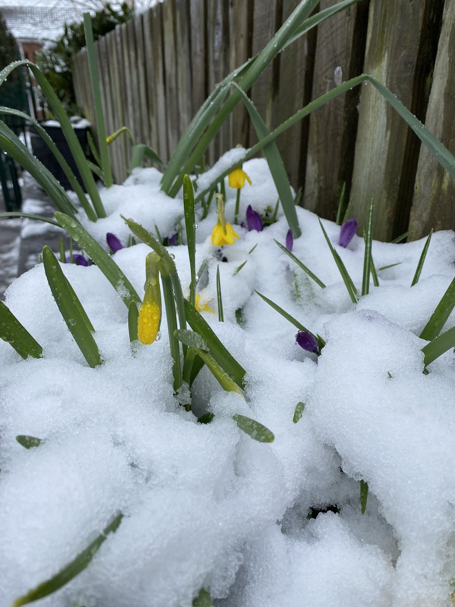 We thought spring had sprung but the weather had other ideas! But where flowers bloom so does hope, and while we have fun in the snow in these last days of winter we look forward to a new season right around the corner.