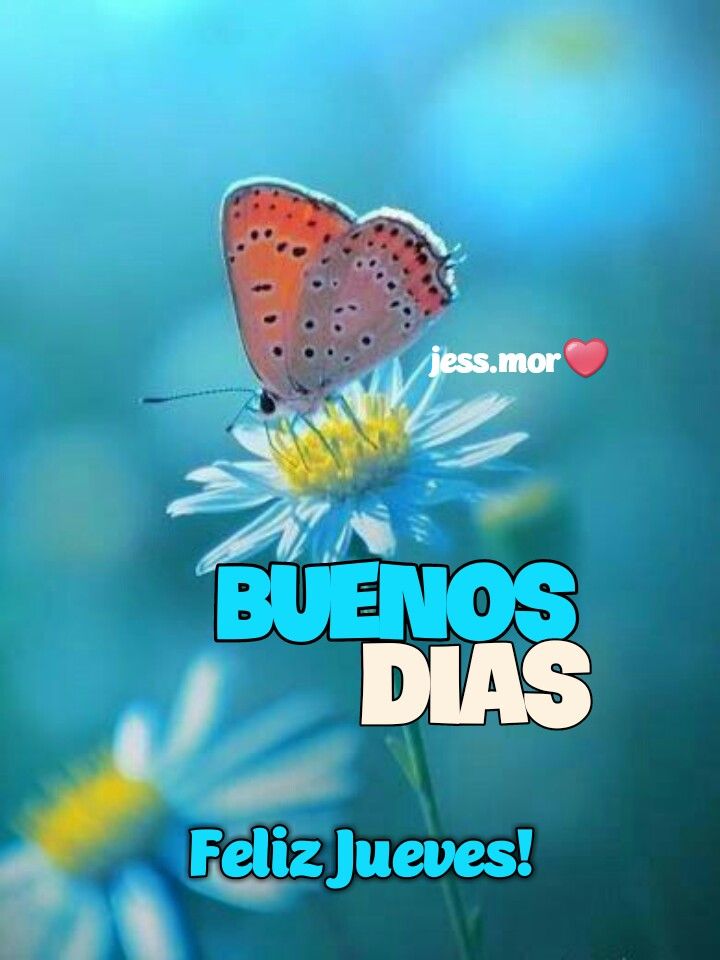 #ChávezSiempreChávez
<a href="/yady171/">yady17</a> <a href="/49Carita/">La carita 49</a> <a href="/Ana_RoGV/">𝒜𝓃𝒶 𝒫𝒶𝑜𝓁𝒶... 🌺👩‍🌾</a> <a href="/Salo_049/">🇻🇪Salomon💞soy hijo de Dios 🙏bendecido por Dios</a> <a href="/KelvinJo20/">KelvinJo🤘</a> <a href="/patriona52/">patriona52</a> @nanunsc2 <a href="/Nave1081Nave108/">nave108</a> <a href="/nesyhu2/">nesyhu2</a> <a href="/cpmarp21/">CpMarp21 🐾🐾</a> <a href="/estr3mao1411/">🇻🇪☕Vicente Flores☕🇻🇪</a>