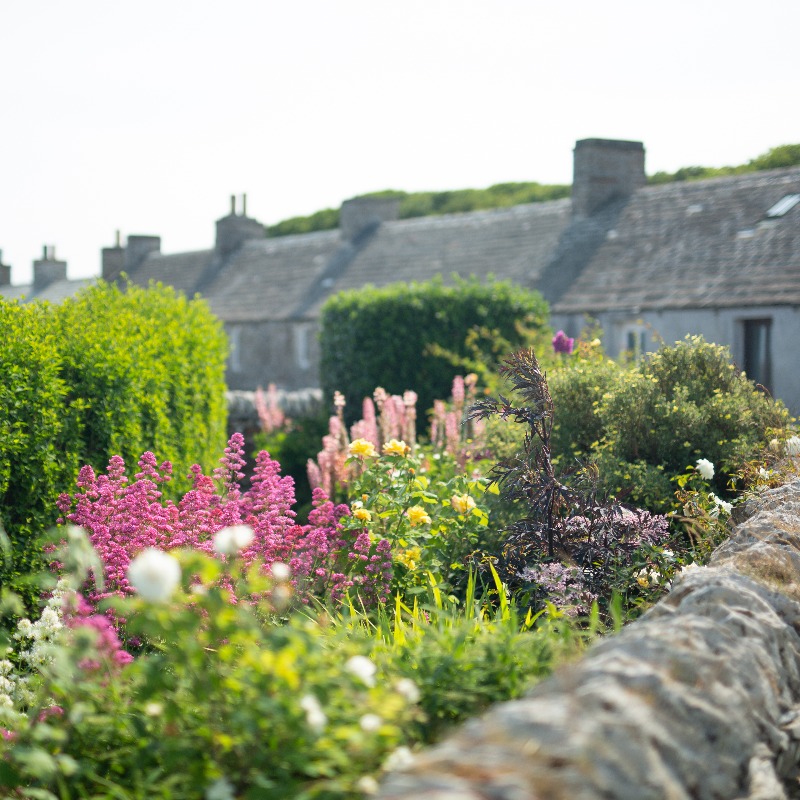 orkneycom's tweet photo. Would you like to take an #OrkneyWalk this year? 🥾

Go island hopping to Shapinsay and visit a very special @RSPBScotland reserve 😍

#VisitOrkney #ScotlandIsCalling
