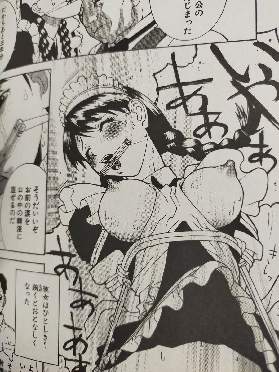 猿轡の流れでいくとむか〜し描いたコレとシンプルでいいね
電子書籍になってないやつ 