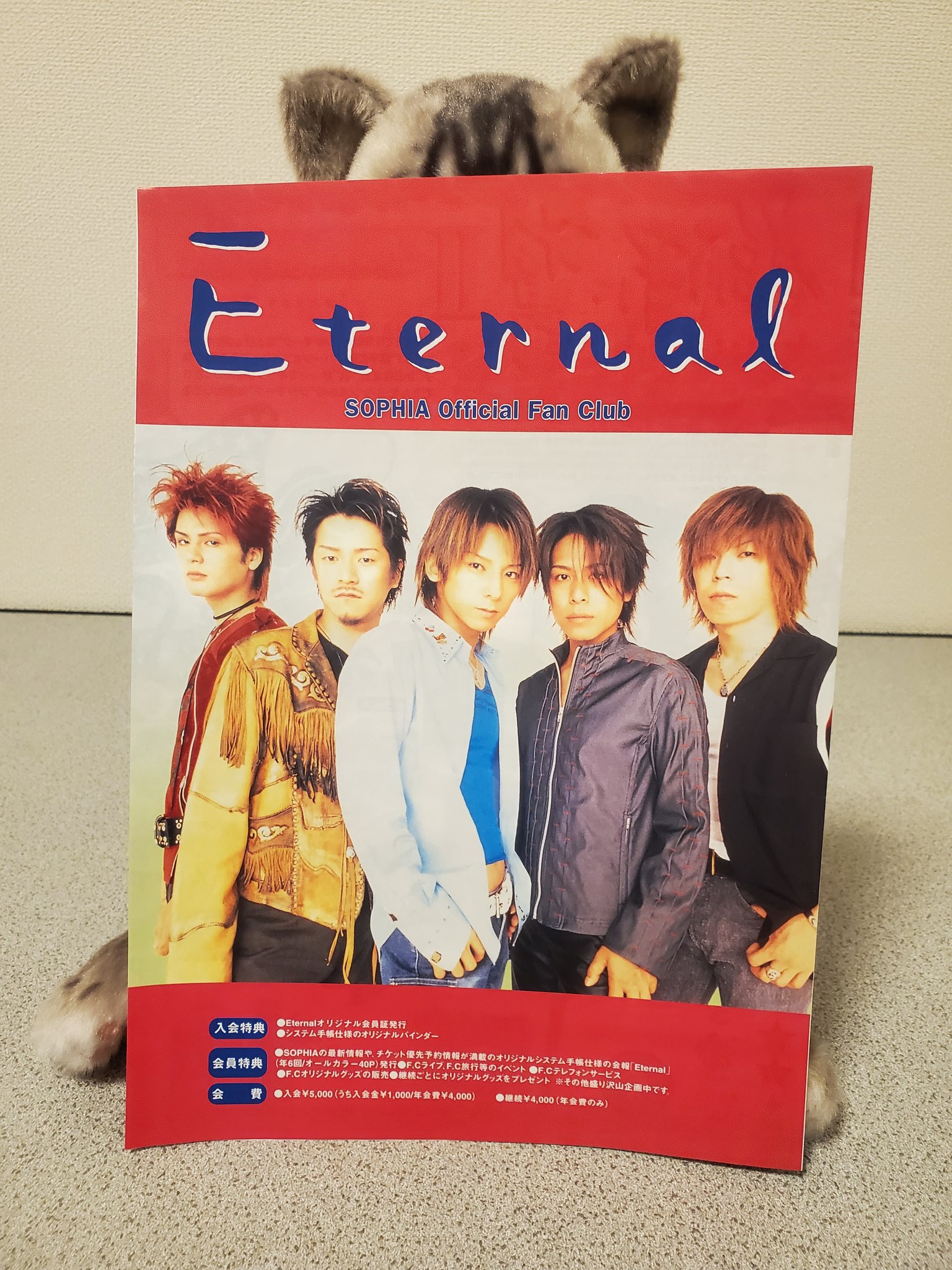 SOPHIA Eternal 会報 12冊(No.20〜31)と専用バインダー SOPHIA Eternal 会報 12冊(No.20〜31)と専用バインダー - メルカリ