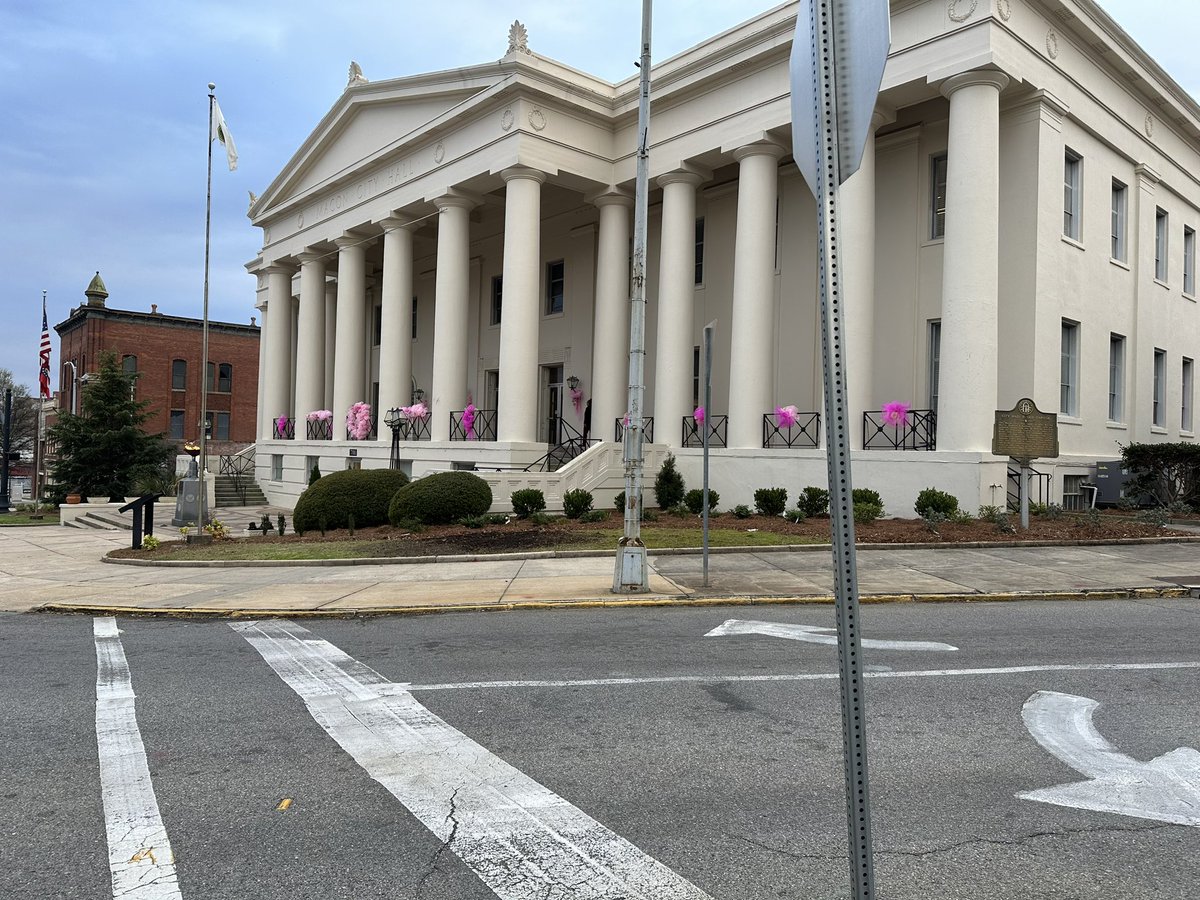 Pink coming out in @MaconGaSoul as Cherry Blossom festival about to begin. Thanks @ykkfasteners for your investment in cherry trees early on.