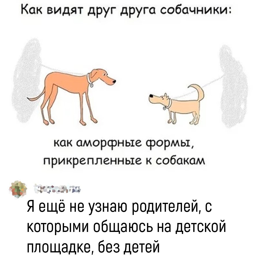 Как видят друг друга собачники
