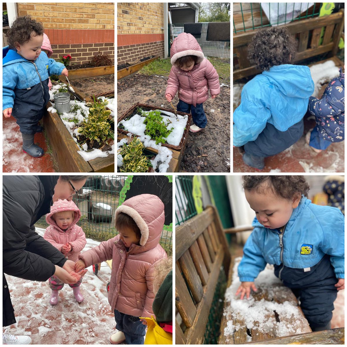the_ECCC's tweet image. Children use their senses to understand the world around them. Some of our younger learners enjoyed what was left of the snow. #learningthroughnature #senses #babieslearning #froebel #reggio #exploring #curiouslearners #capablelearners