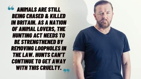 So true #Rickygervais The laws must be enforced more against  hunting and trapping an #Animal in #Britain and every where else they do it.#banhunting #Endanimalcruelty #animalrights because there are TOO many animal wrongs.