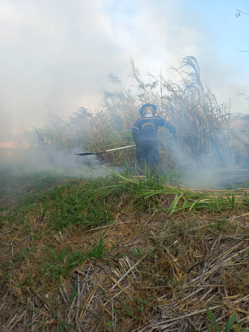 08/03/2023 08:01 HLV
Comisión Cuerpo Bomberos Universidad Carabobo y municipio Naguanagua junto a Protección Civil Naguanagua realizaron extinción de incendio de vegetación; comunidad Tazajal, municipio #Naguanagua

<a href="/bomberuc/">Bomberos de la Universidad de Carabobo</a> 
Disciplina, Estudio, Abnegación