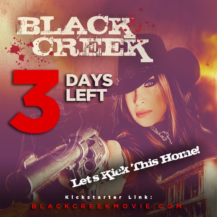 To all my amazing fans!   I need your support on Kickstarter! Let's show Hollywood that there is a demand for female-led action films! Pledge today and help us bring "Black Creek" to the big screen! #BlackCreekMovie #Cynthiarothrock #ActionFilm #SupportIndieFilm #Kickstarter