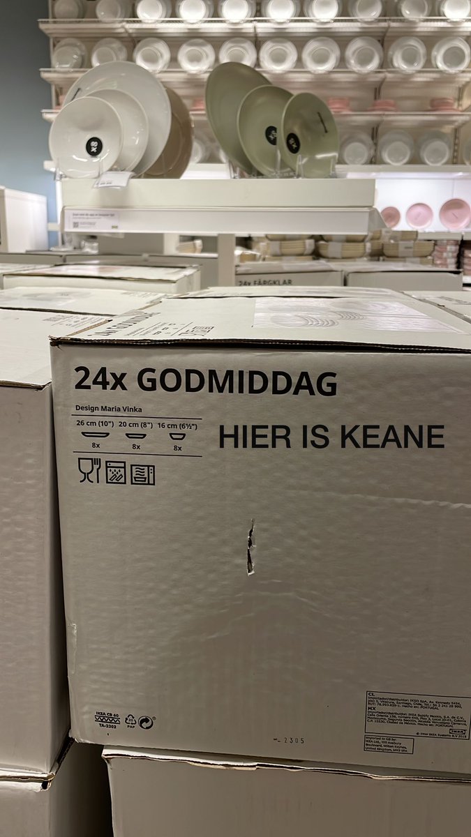 Lideke de Vries tweet media