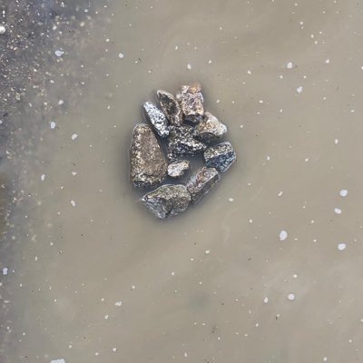 Fernandoepanise's tweet photo. #NuevaFotoDePerfil https://t.co/aXCn2maRW7