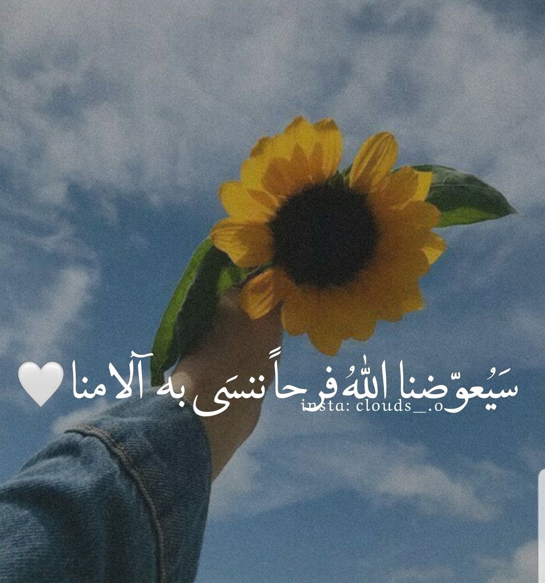 hbt_nasr's tweet photo. 💌 https://t.co/UMzKkEs6BN